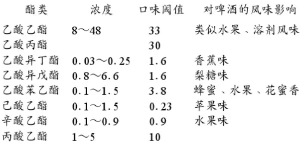 精釀啤酒設備,啤酒廠設備,開辦啤酒廠,發酵，錐形罐